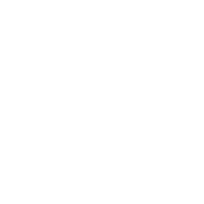 TypeScript